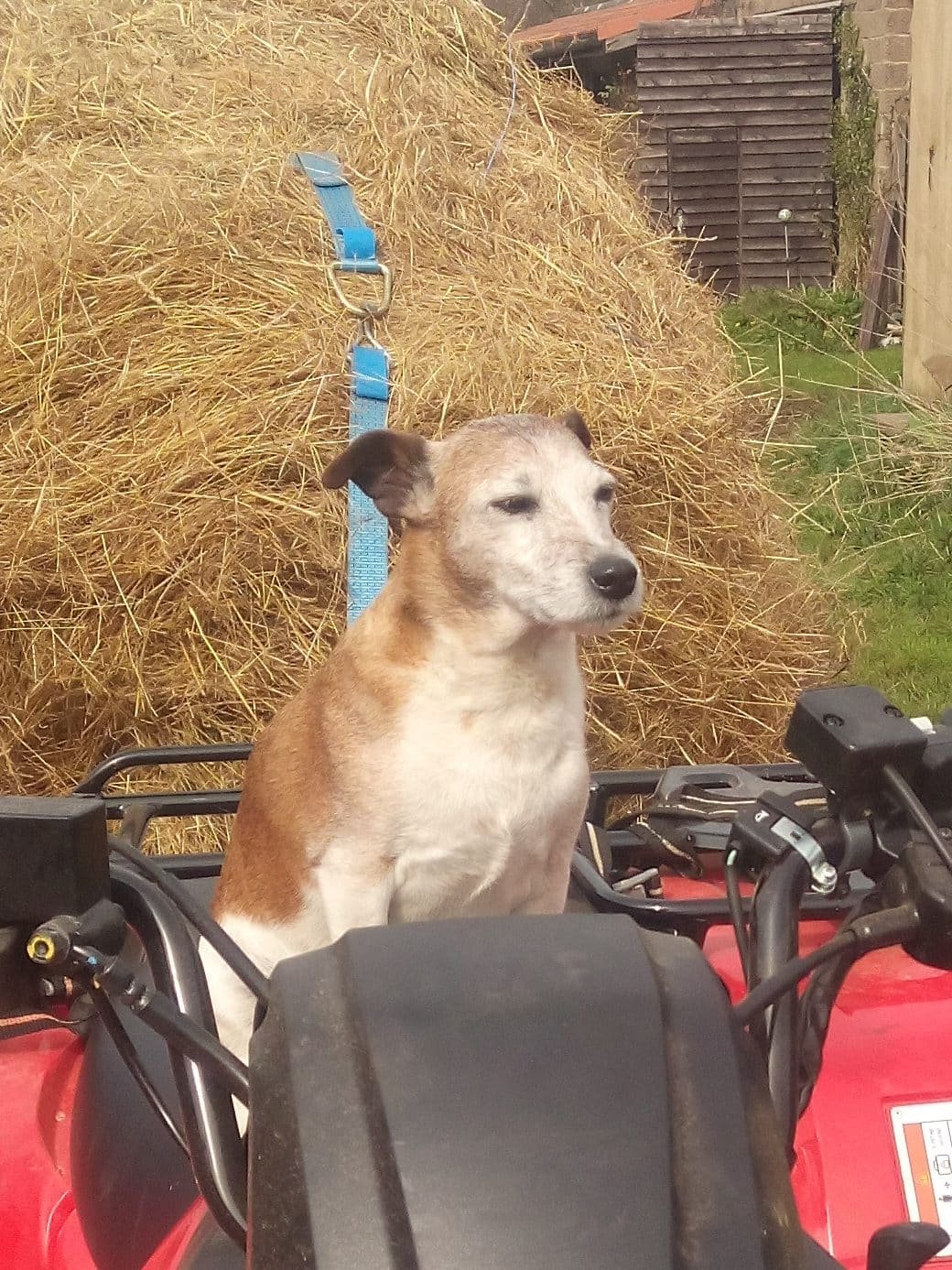 nethertownfarm.co.uk