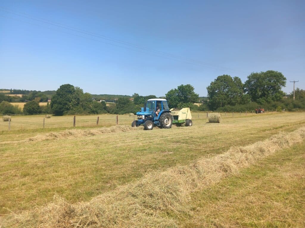 Make hay when the sun shines