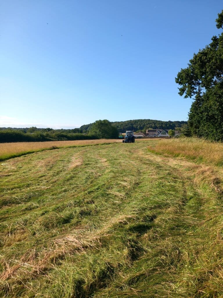 Sun Shining and Hay Making